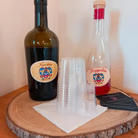 La Corte Country 4* 摩德纳