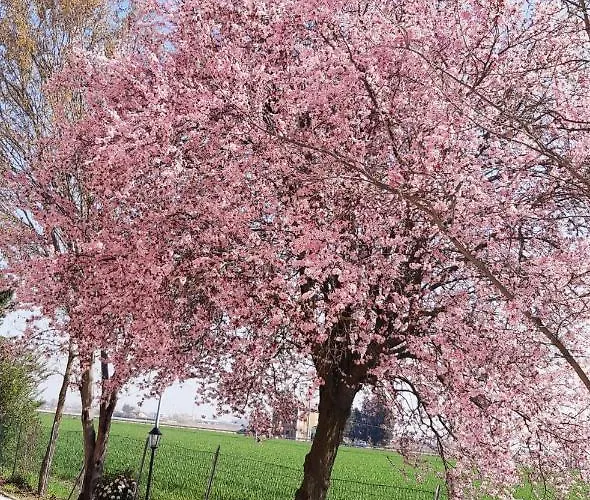 Gæstehus La Corte Country 4*